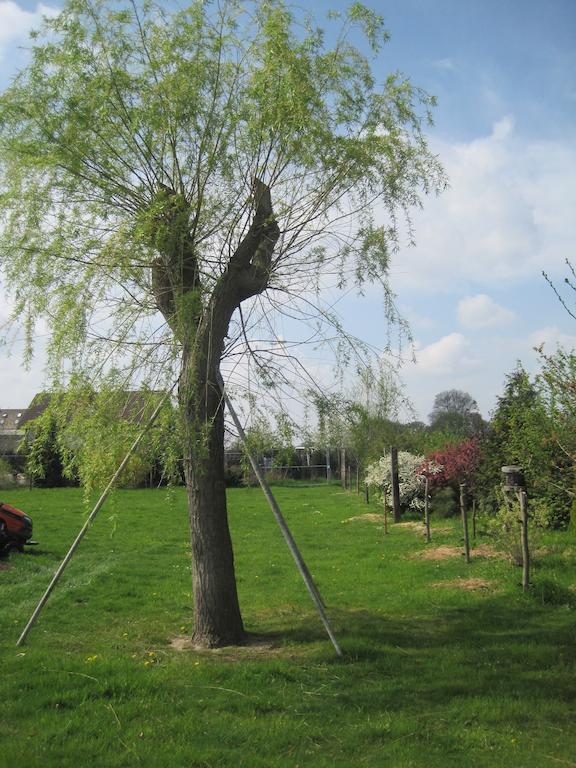Apartmán Haus Am Park Thallwitz Pokoj fotografie