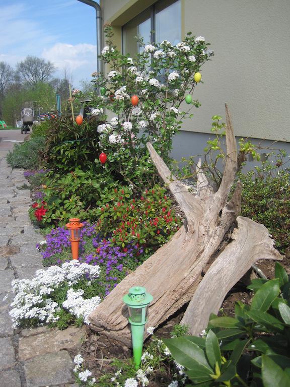 Apartmán Haus Am Park Thallwitz Pokoj fotografie