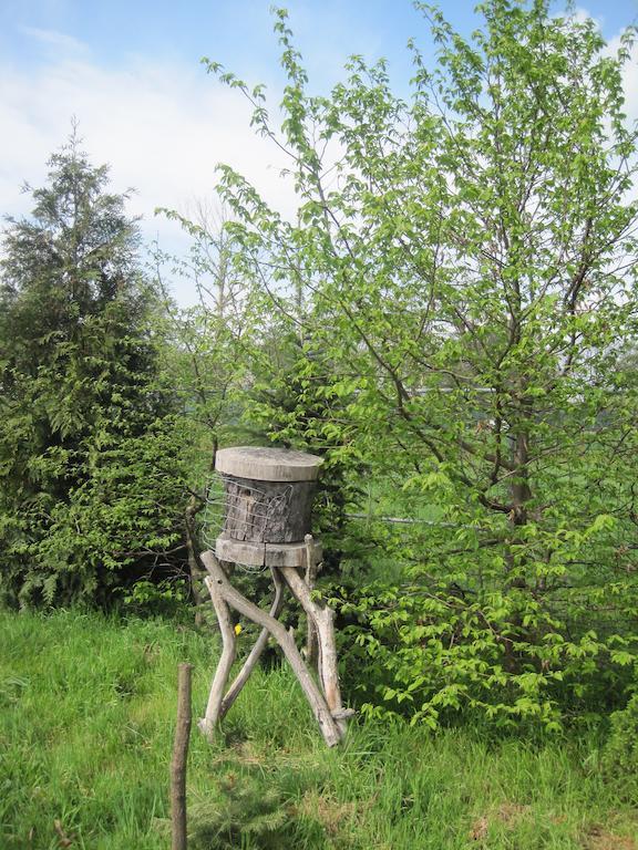 Apartmán Haus Am Park Thallwitz Pokoj fotografie
