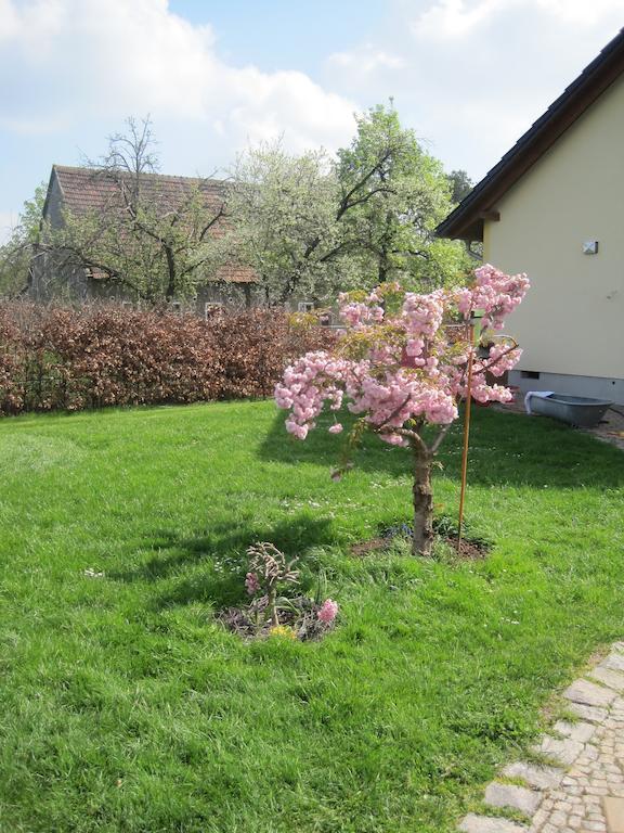 Apartmán Haus Am Park Thallwitz Pokoj fotografie